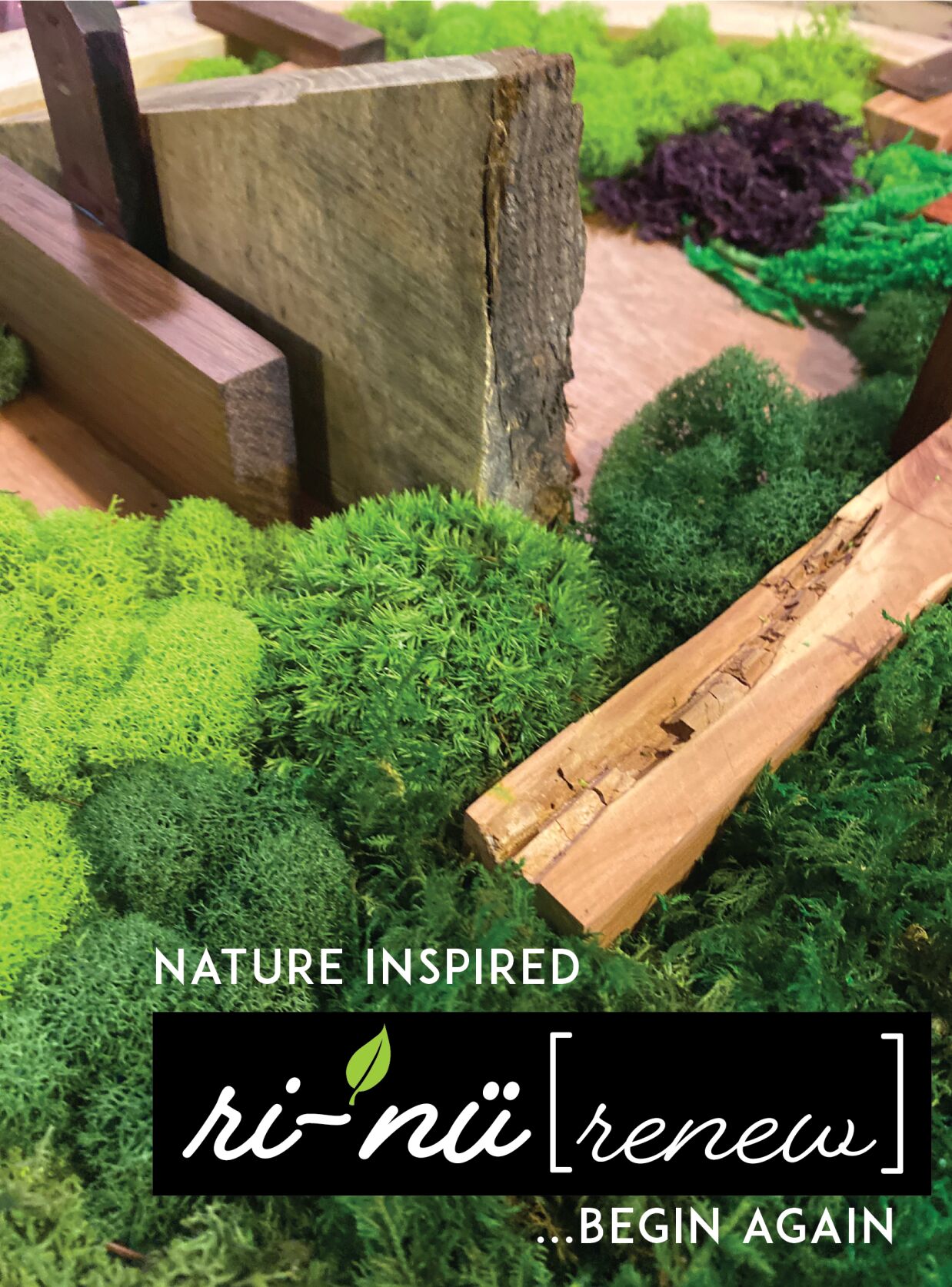 RENU-Photo_logo1-R.png